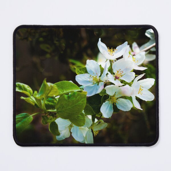 Item preview, Apple Blossoms on a Sunny Day designed and sold by jklune.