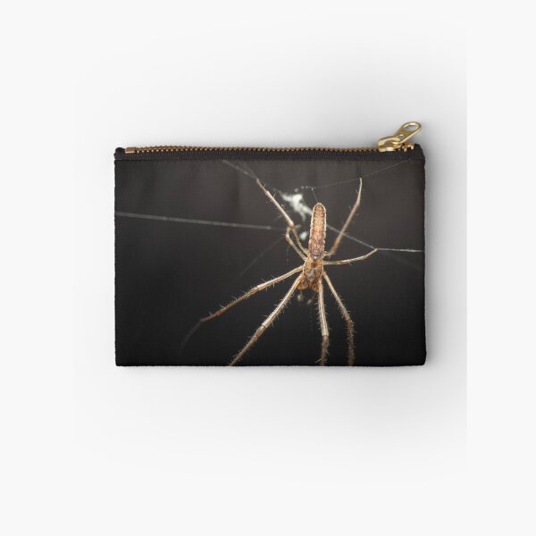 Item preview, Long-jawed orb weaver designed and sold by robdanimalphotography.