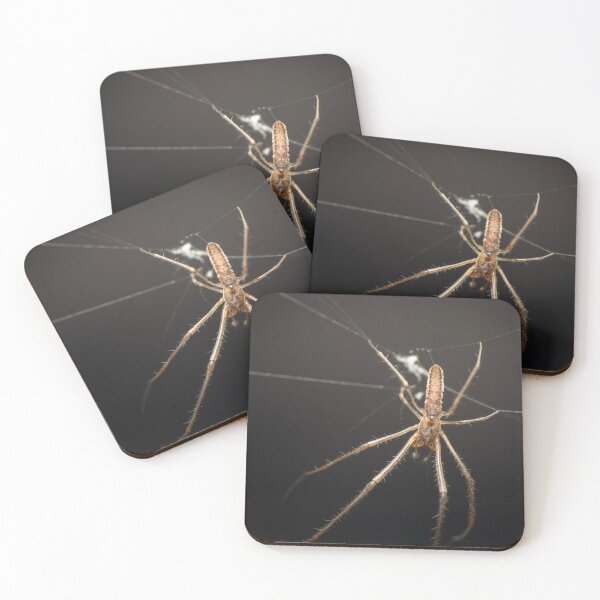 Item preview, Long-jawed orb weaver designed and sold by robdanimalphotography.