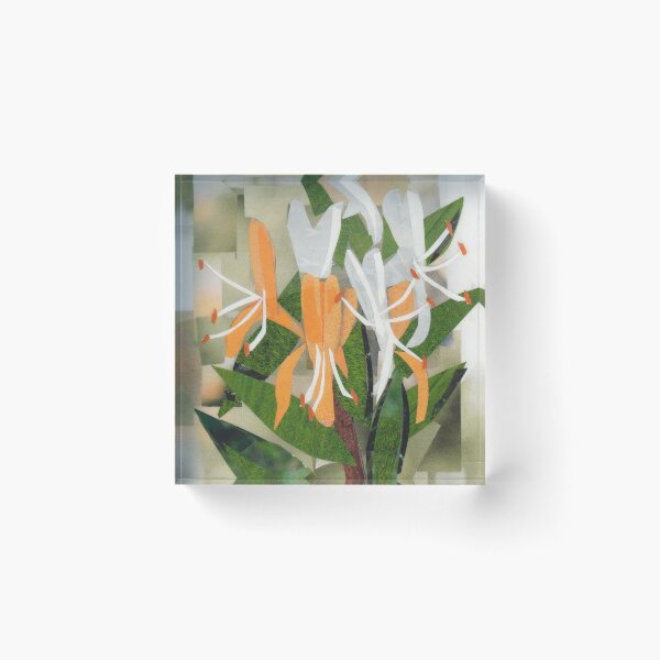 Item preview, June Birth Flower: Honeysuckle designed and sold by megancoyle.