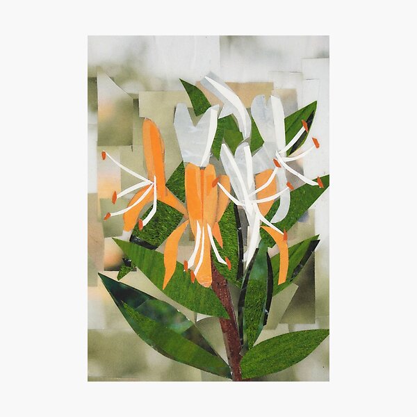Item preview, June Birth Flower: Honeysuckle designed and sold by megancoyle.
