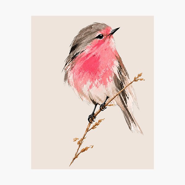 Item preview, Minimalist Pink Robin designed and sold by scicilysimonee.