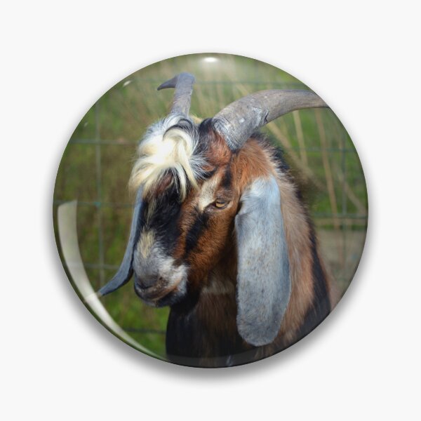 Item preview, Majestic Goat  designed and sold by Savannah Gibbs.
