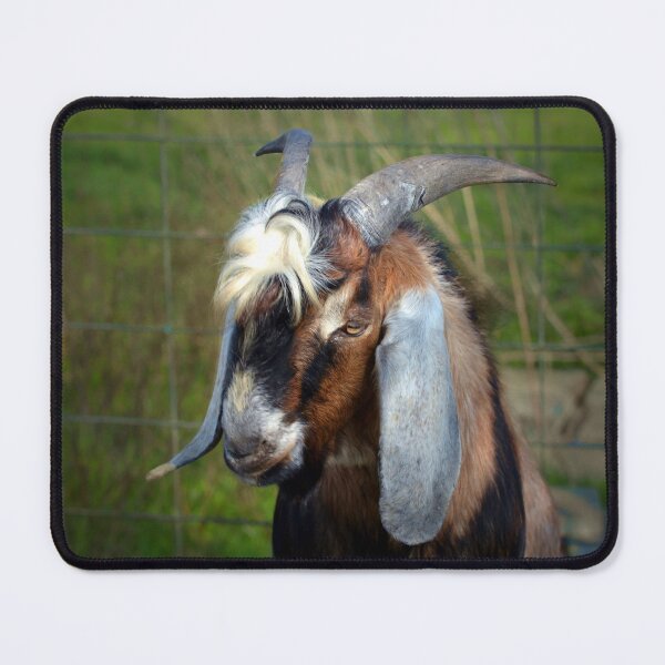 Item preview, Majestic Goat designed and sold by Savannah Gibbs.