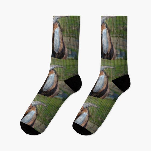 Item preview, Majestic Goat  designed and sold by Savannah Gibbs.