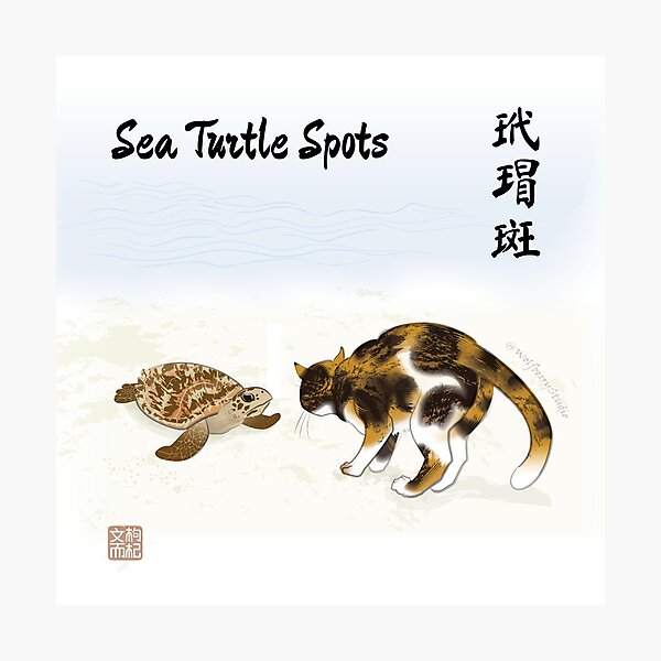 Item preview, Gato contra tortuga designed and sold by Wolfberry Studio.