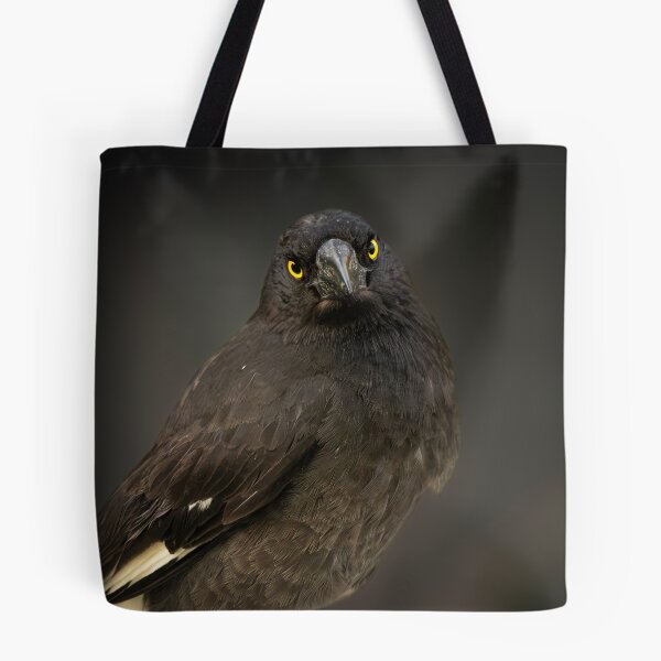 Item preview, Pied Currawong designed and sold by robdanimalphotography.
