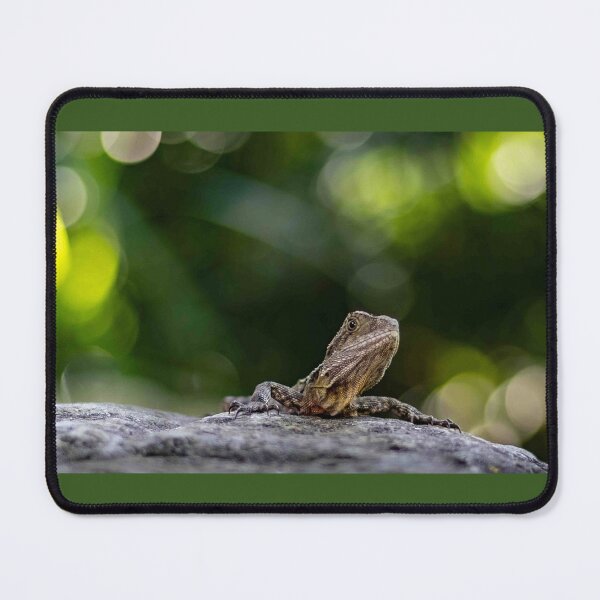Item preview, Water Dragon on a Rock designed and sold by Twisted Light Images.