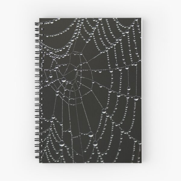 Item preview, Midnight Raindrop Spiderweb designed and sold by AnimaliaStar.