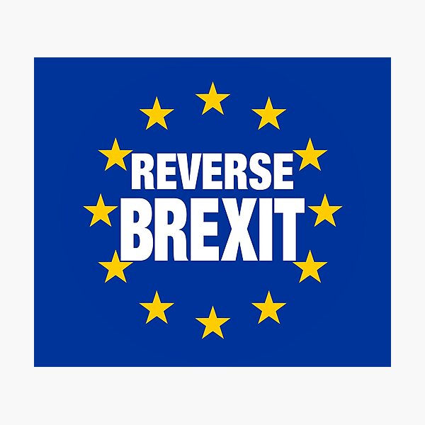 Item preview, RESERVE BREXIT designed and sold by Paparaw.