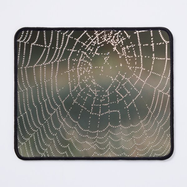 Item preview, Soft Rain Glistening Spiderweb designed and sold by AnimaliaStar.
