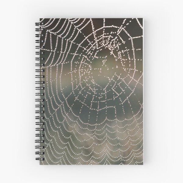 Item preview, Soft Rain Glistening Spiderweb designed and sold by AnimaliaStar.