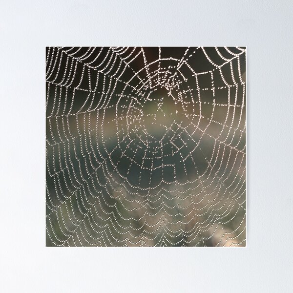 Item preview, Soft Rain Glistening Spiderweb designed and sold by AnimaliaStar.