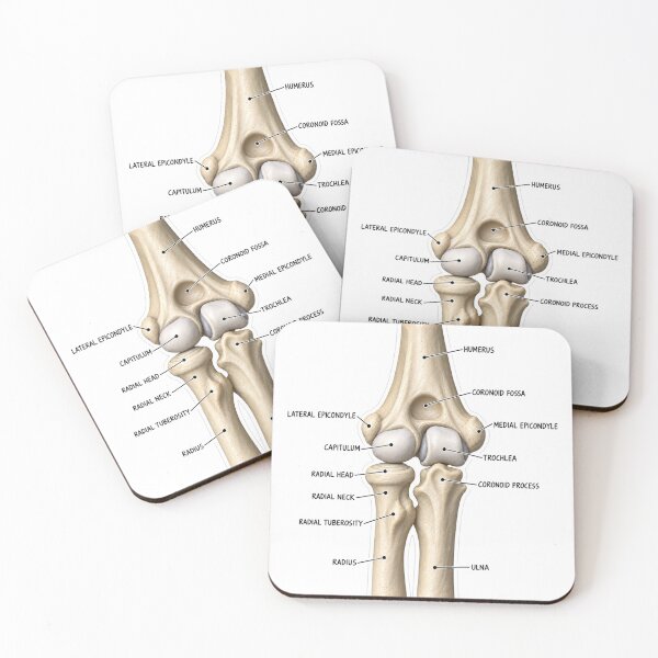 Item preview, Anatomy Elbow Forearm 3D Physical Therapy Sticker designed and sold by isokinetic.