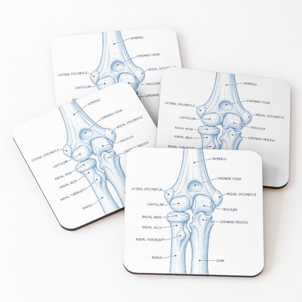 Item preview, Anatomy Elbow Forearm Blueprint Physical Therapy Sticker designed and sold by isokinetic.