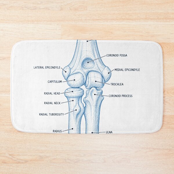 Item preview, Anatomy Elbow Forearm Blueprint Physical Therapy Sticker designed and sold by isokinetic.