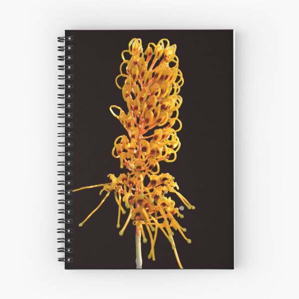 Item preview, Golden Australian Grevillea Robusta designed and sold by Yolanda Caporn Art.