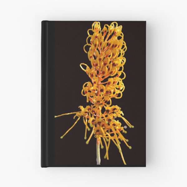 Item preview, Golden Australian Grevillea Robusta designed and sold by Yolanda Caporn Art.