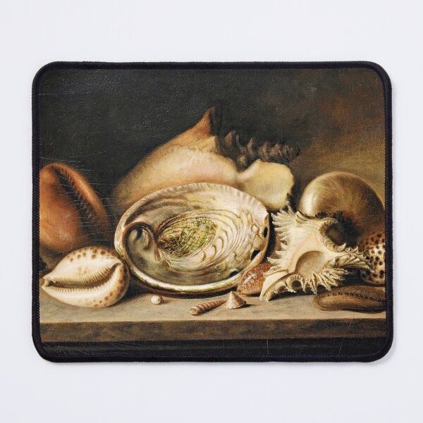 Item preview, Tropical Sea Shells on A Stone Ledge, Including A Conch, A Giant Murex, Cowries, and An Abolone by Circle of Nicolaus Matthes designed and sold by LoveSeasonz.