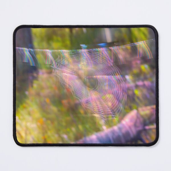 Item preview, Rainbow Spider Web in Woodland designed and sold by Veikko Suikkanen.