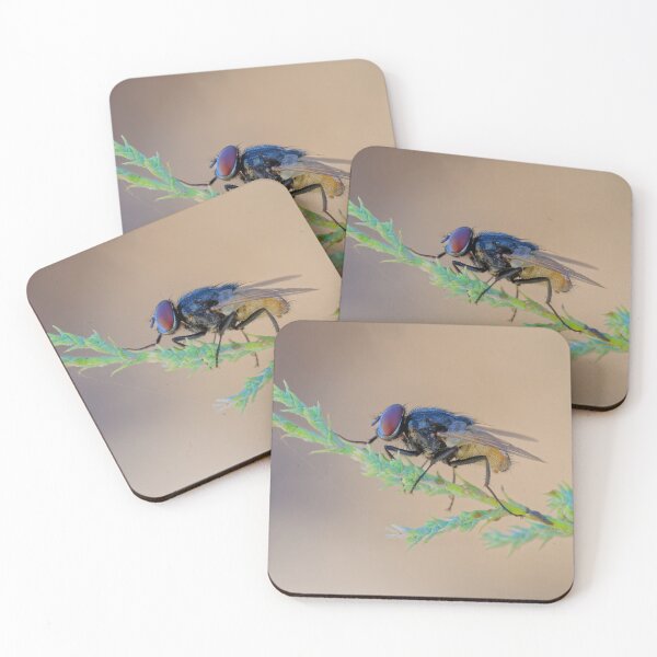 Item preview, Not in the House designed and sold by Ralph Goldsmith.