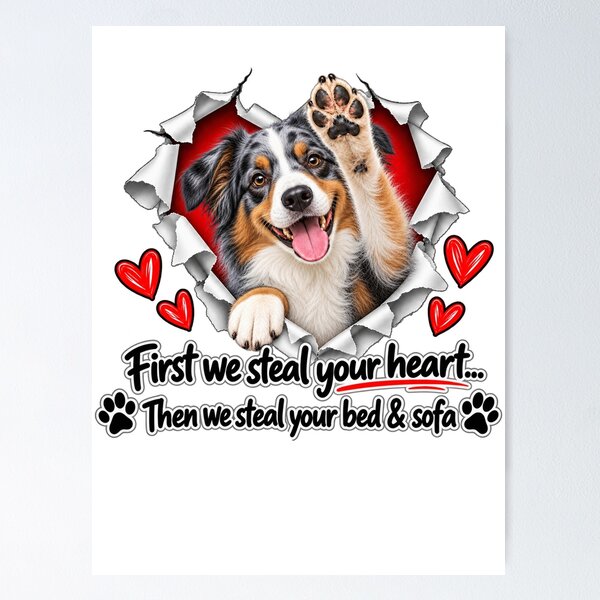 Item preview, Funny Australian Shepherd Dog Sofa Quote designed and sold by luu phong.