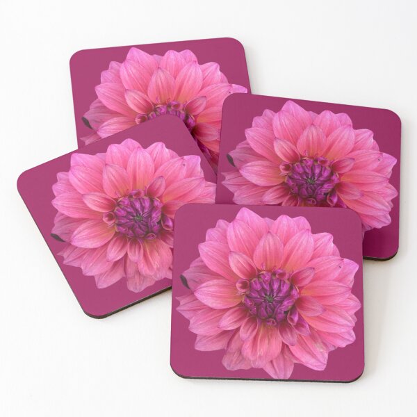 Item preview, Tiny Bug on a Perfectly Pink Dahlia designed and sold by Dutch Flower Lady.