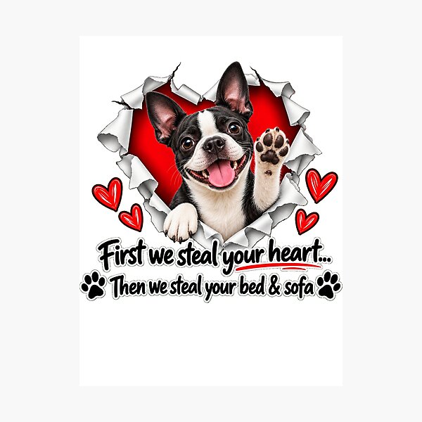 Item preview, Funny Boston Terrier Dog Sofa Quote designed and sold by luu phong.