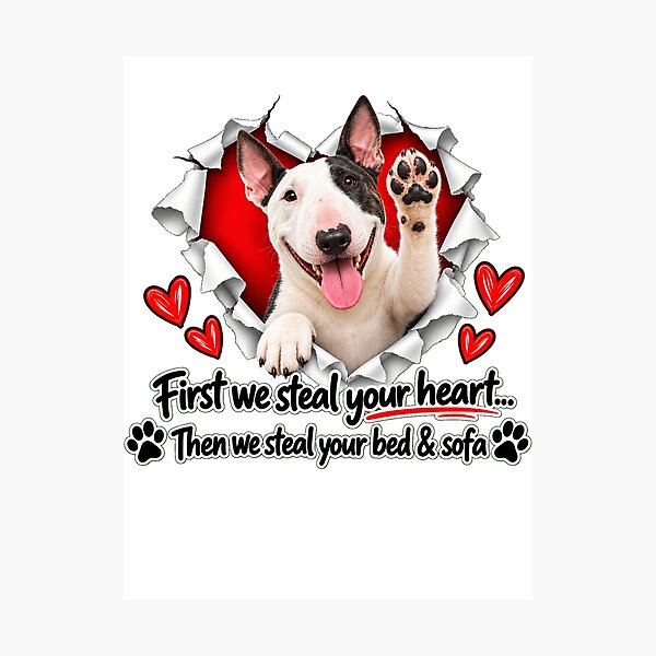Item preview, Funny Bull Terrier Dog Sofa Quote designed and sold by luu phong.