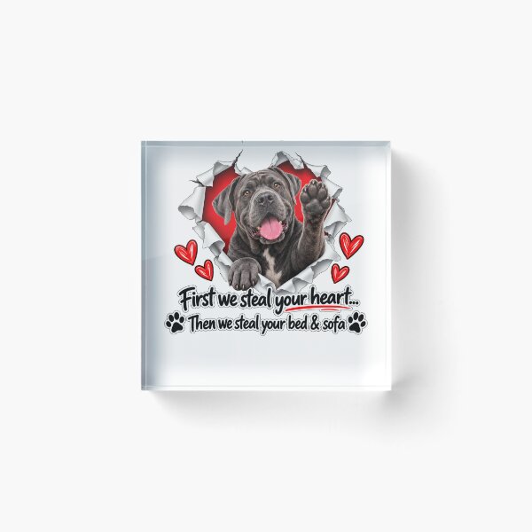 Item preview, Funny Cane Corso Dog Sofa Quote designed and sold by luu phong.