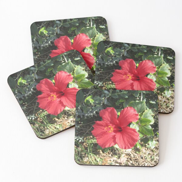 Item preview, Hibiscus designed and sold by Alexander Krishchyunas.
