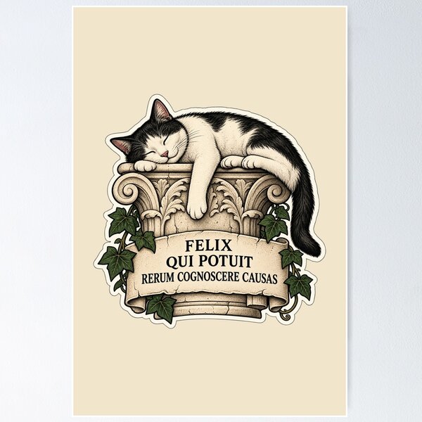 Item preview, Felix Qui Potuit Rerum Cognoscere Causas – Virgil Latin Quote Cat Design designed and sold by MetaModel Editions.