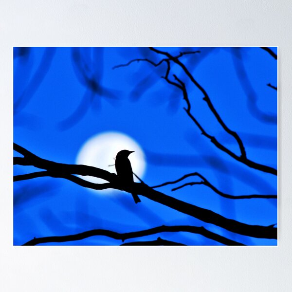 Item preview, Woodswallow Moon designed and sold by beeater.