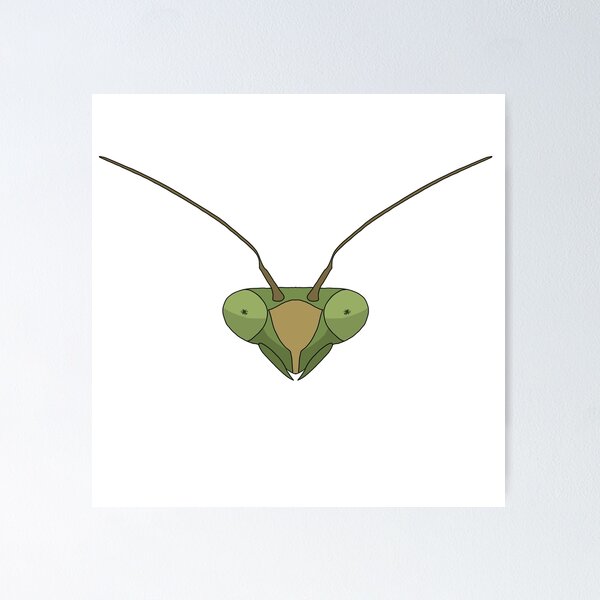 Item preview, Mantida Head designed and sold by SWARM Shop.