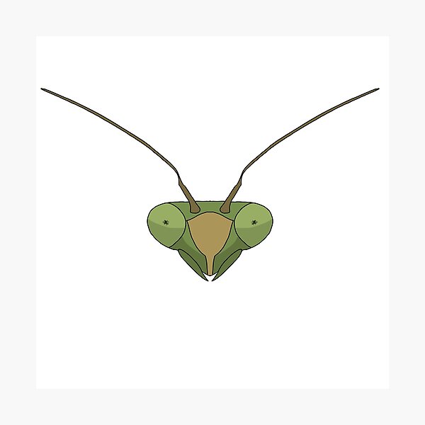 Item preview, Mantida Head designed and sold by SWARM Shop.