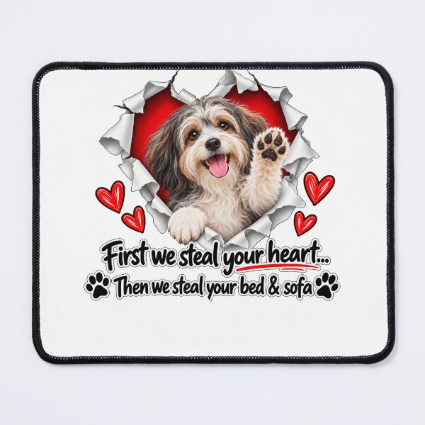 Item preview, Funny Havanese Dog Sofa Quote designed and sold by luu phong.