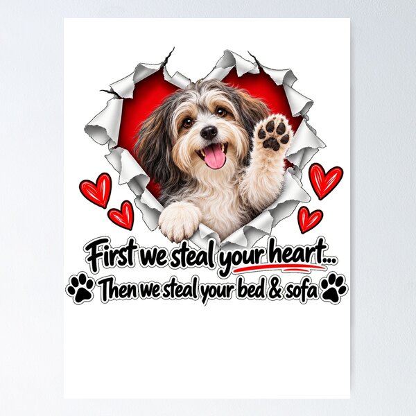 Item preview, Funny Havanese Dog Sofa Quote designed and sold by luu phong.