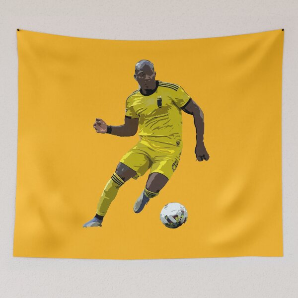 Item preview, Darlington Nagbe designed and sold by raffrasta.
