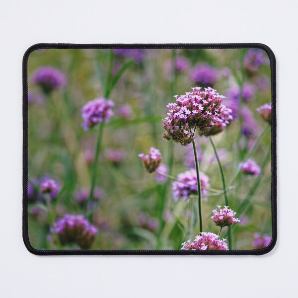 Item preview, Purple Verbena Field designed and sold by Rabee Khalil Photography.