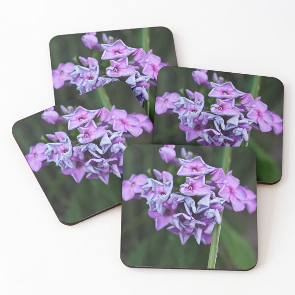 Item preview, Vibrant Violet Blossom Macro Photography designed and sold by NatureLifeDjuka.