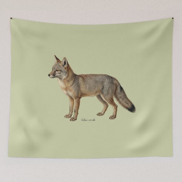 Item preview, The Steppe Phantom: Antique Corsac Fox Naturalist Art Print designed and sold by FreiherrPK.
