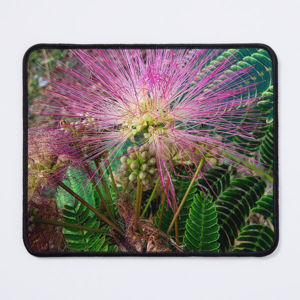 Item preview, Vibrant Mimosa Flower Close Up designed and sold by NatureLifeDjuka.