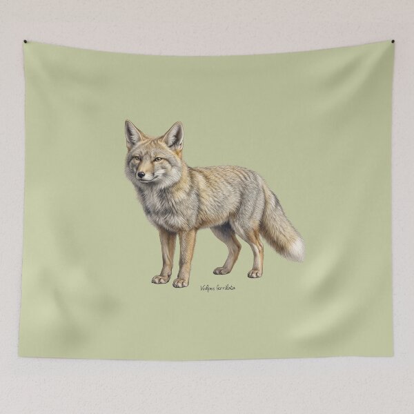 Item preview, The Steppe Auditor: Tibetan Sand Fox Natural History Fine Art Print designed and sold by FreiherrPK.