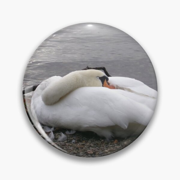 Item preview, Sleeping Swan designed and sold by GooglyEyes-.