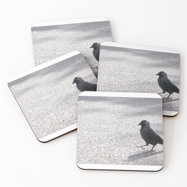 Item preview, Jackdaw designed and sold by GooglyEyes-.