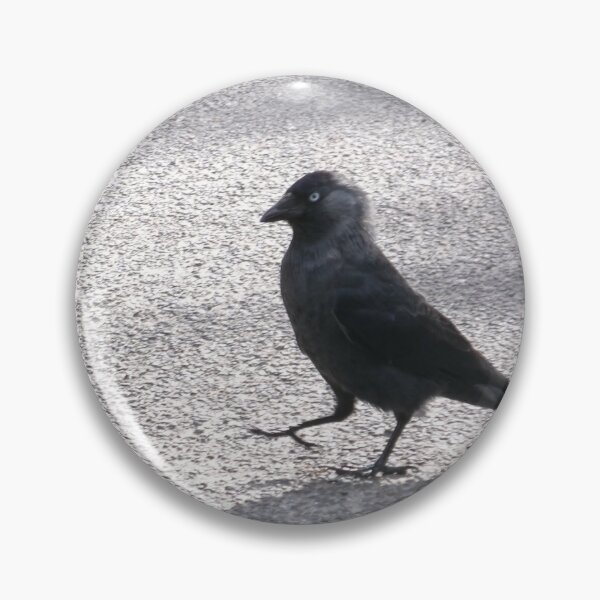 Item preview, Jackdaw designed and sold by GooglyEyes-.
