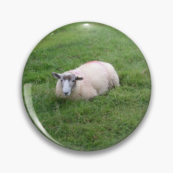 Item preview, Sheep designed and sold by GooglyEyes-.