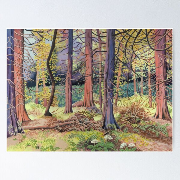 Item preview, Wellingtonia Woodland (acrylic on canvas) designed and sold by Painting By Nature.