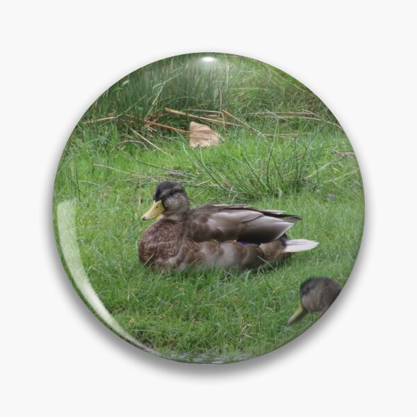 Item preview, Ducks designed and sold by GooglyEyes-.