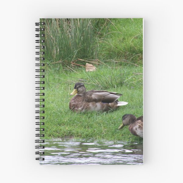 Item preview, Ducks designed and sold by GooglyEyes-.